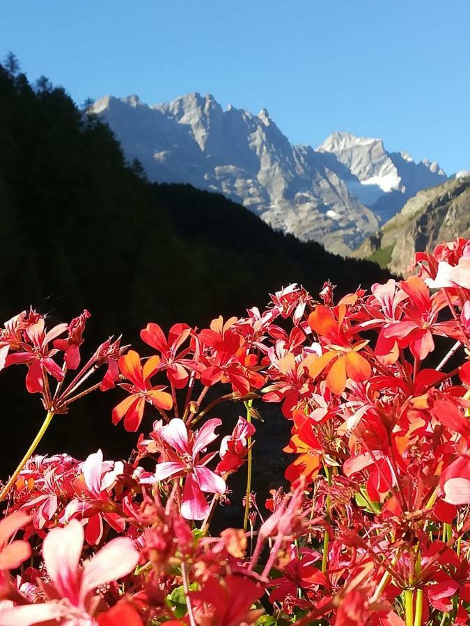 Petit Maison - Valtournenche Exteriér fotografie